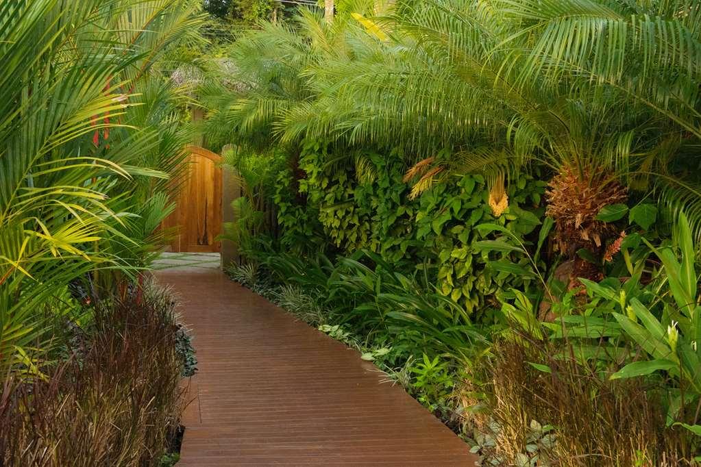 Casa Chameleon Hotel Mal Pais - Adults Only Playa Santa Teresa  Faciliteiten foto