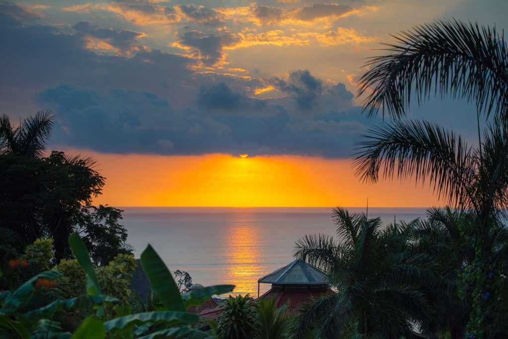 Casa Chameleon Hotel Mal Pais - Adults Only Playa Santa Teresa  Faciliteiten foto
